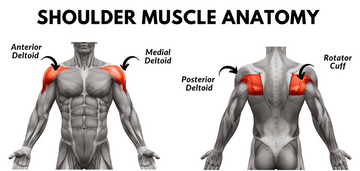 Killer Shoulder Workout at Home - 9 Exercises for Shoulder at Home